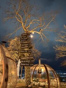 IMG_20260211_153450_735