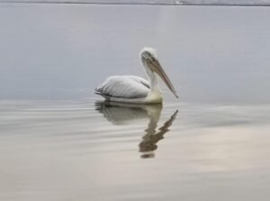 IMG_20260211_170133