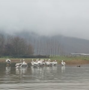 IMG_20260211_170243